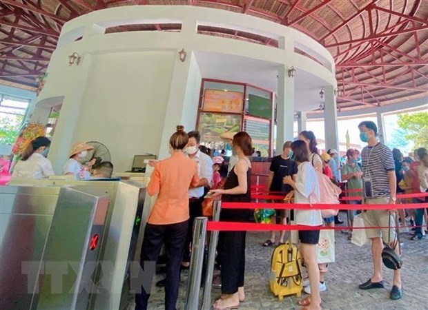 Da Nang tourism services operators meet requirements to welcome foreign visitors hinh anh 2