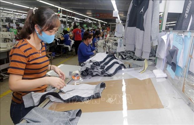 Vietnam’s apparel sector expected to grow by 11.2 pct this year hinh anh 1