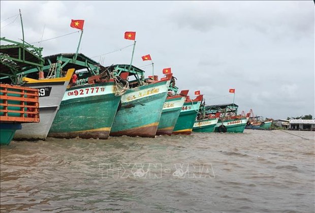 Ca Mau joins national efforts in IUU fishing combat hinh anh 1