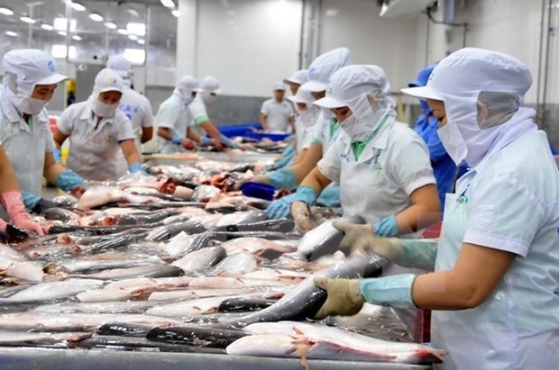 Tra fish export forecast to hit 1.54 billion USD in 2021 hinh anh 1