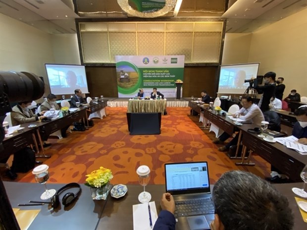 Vietnamese farmers to be guided on low-carbon rice production hinh anh 1