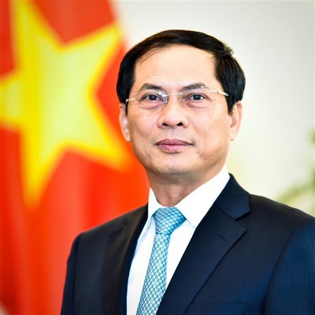 Diplomatic sector helps raise Vietnam’s fortune, position, prestige: FM hinh anh 2