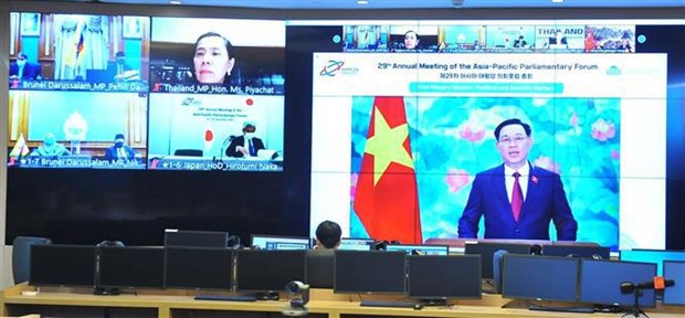 Vietnam attends second session of APPF-29 hinh anh 1