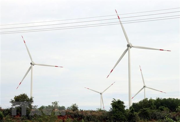 Vietnamese, German firms join hands in developing wind power projects hinh anh 1