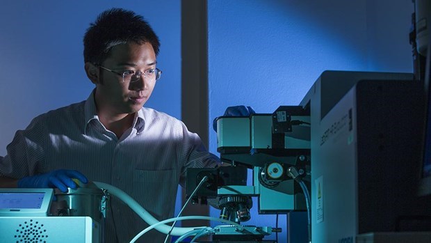 Vietnamese scientist in Australia honoured with science-technology prize hinh anh 1