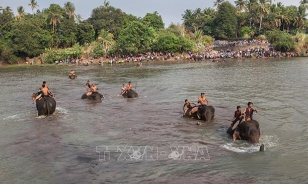 Dak Lak province to boost elephant-friendly tourism model hinh anh 1