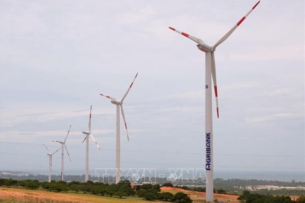 Obstacles should be removed to facilitate offshore wind power development: Experts hinh anh 1