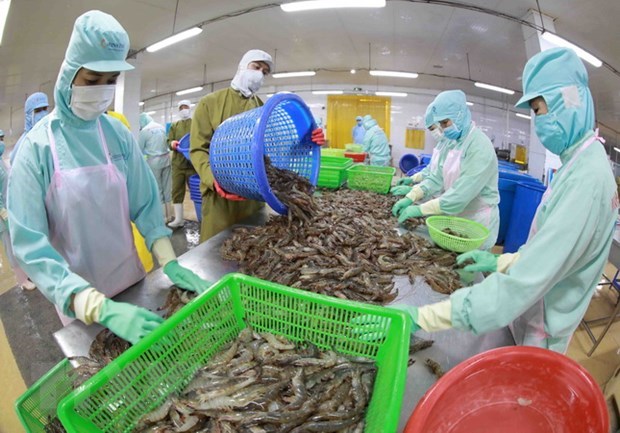 Vietnam ranks fifth among aquatic product exporters of Japan hinh anh 1