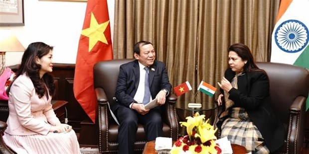 Vietnam, India to lift cultural, people-to-people exchange cooperation hinh anh 1
