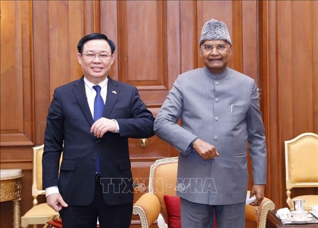 NA Chairman Vuong Dinh Hue meets Indian President hinh anh 1