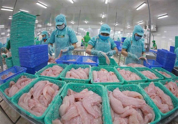 Tra fish export value estimated at 1.54 billion USD this year hinh anh 1
