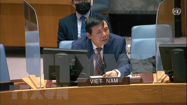 Vietnam emphasises international efforts for cyber conflict prevention: ambassador hinh anh 1