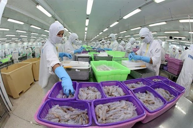 Room for Vietnam’s exports to Eurasia remains huge hinh anh 1