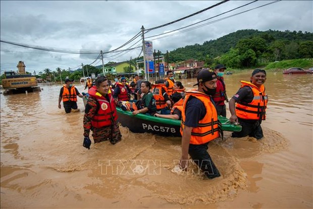 President offers sympathy to Malaysian King over flooding loss hinh anh 1