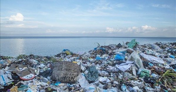 National forum discusses plastic waste management for sustainable fishery development hinh anh 1