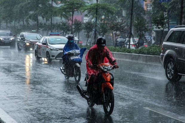 Strong cold front to hit northern and central Vietnam hinh anh 2