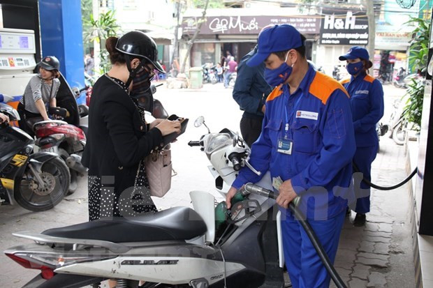 Fuel prices pick up in latest review hinh anh 1