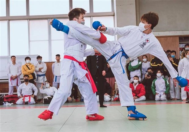 Karate tournament organised for Vietnamese expats in Japan hinh anh 1