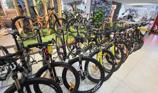 Cambodia earns over 500 mln USD from bicycle export hinh anh 1