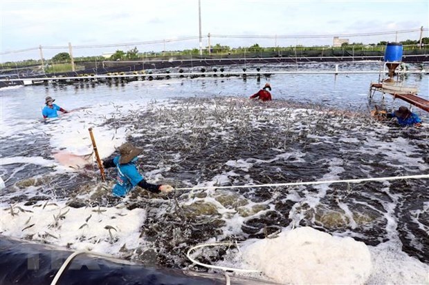 Aquaculture output grows 4.17 percent to 4.75 million tonnes hinh anh 1