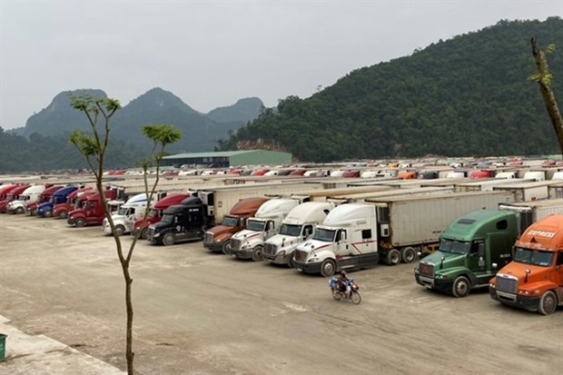 Authorities work to resolve trade bottlenecks hinh anh 1
