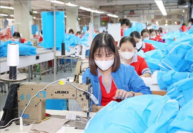 Seminar looks into impacts of COVID-19 on garment, footwear workers hinh anh 1