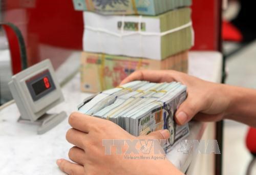 Remittances to Vietnam up 10 percent this year hinh anh 1