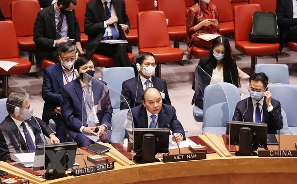Vietnam makes valuable contributions in UNSC: UK Permanent Representative to UN hinh anh 1