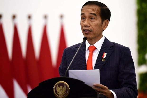 Indonesian President urges digitalisation to fight corruption hinh anh 1