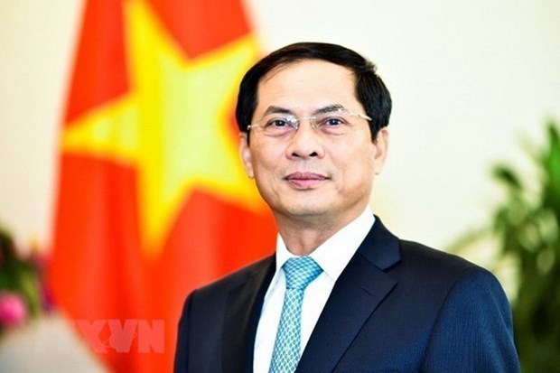 Minister reviews diplomatic sector’s performance in 2021 hinh anh 2