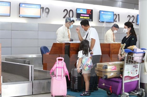 Vietnamese expats in Europe long for resumption of international flights hinh anh 1