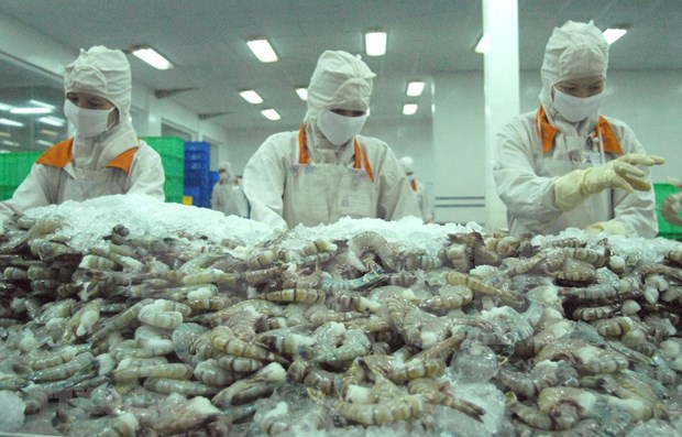 Shrimp remains Vietnam’s largest currency earner among fishery products hinh anh 1