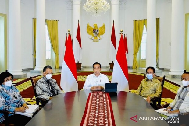 Indonesia revokes thousands of mining, forestry, plantation permits hinh anh 1