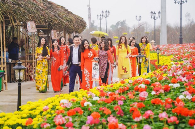 HCM City to host spring flower festival in late January hinh anh 1