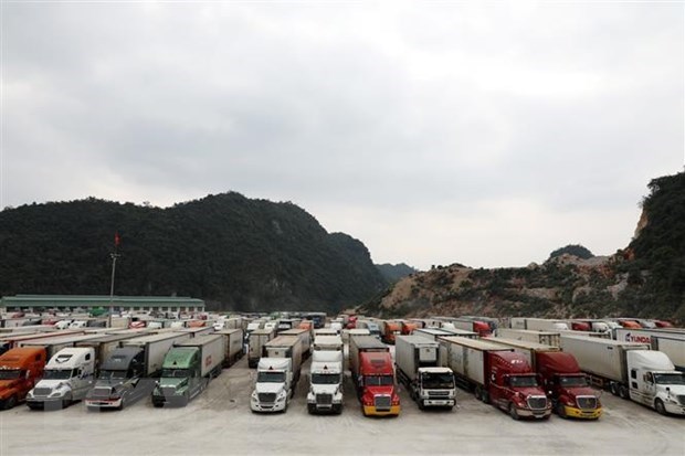 Deputy PM requests no congestion of trucks at border gates before lunar New Year hinh anh 1