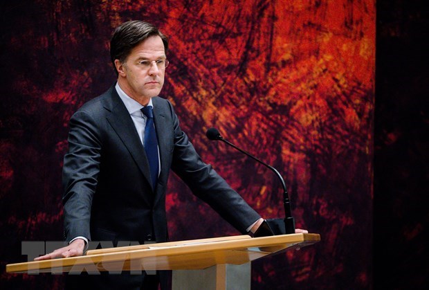 Prime Minister congratulates Dutch counterpart over re-election hinh anh 1