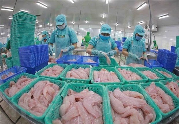 Tra fish exports predicted to hit 1.7 billion USD this year hinh anh 1