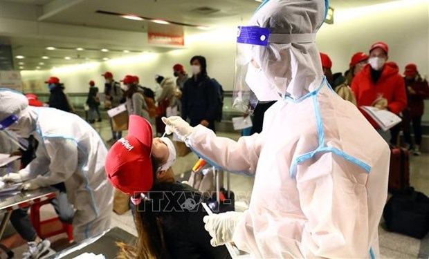 New guidance on rapid COVID-19 testing for air passengers to Vietnam hinh anh 1