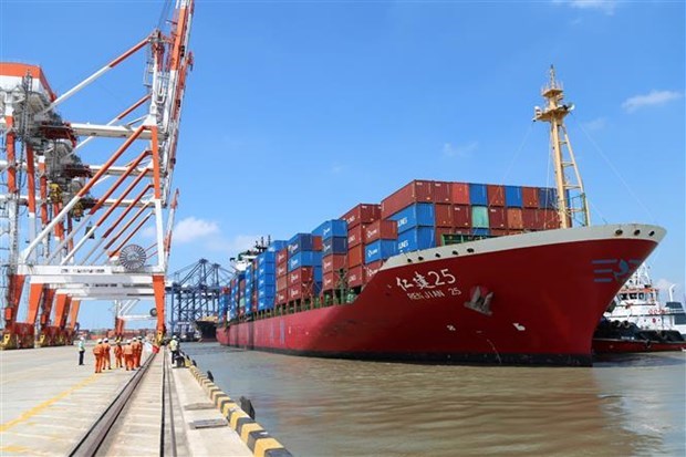 Ships, goods through Cai Mep-Thi Vai cluster up 2 pct in 2021 hinh anh 1