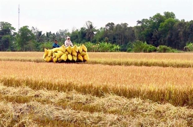 Mekong Delta set to become agricultural economic hub by 2030 hinh anh 1