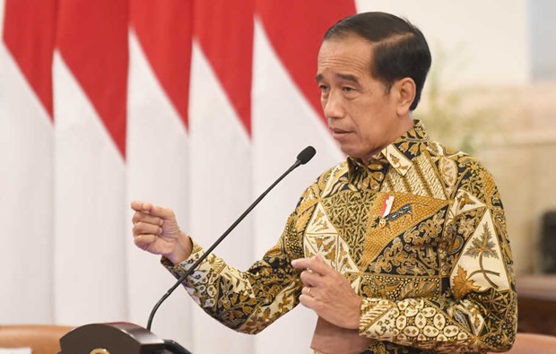 Indonesia's transformations must continue: President hinh anh 1