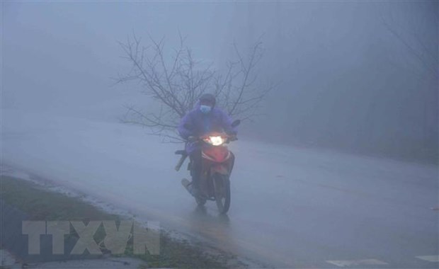 Northern region experiences biting cold weather hinh anh 1