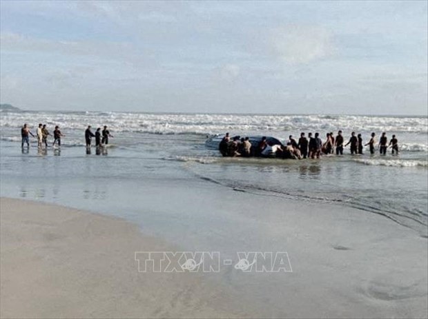 Six Indonesians drown off Malaysia coast hinh anh 1