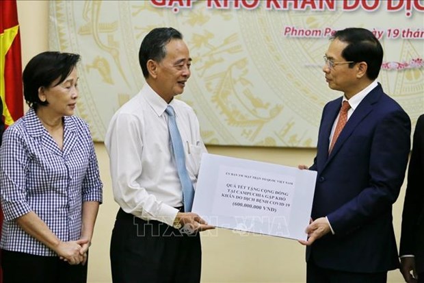 Foreign Minister delivers Tet gifts to needy Vietnamese Cambodians hinh anh 1