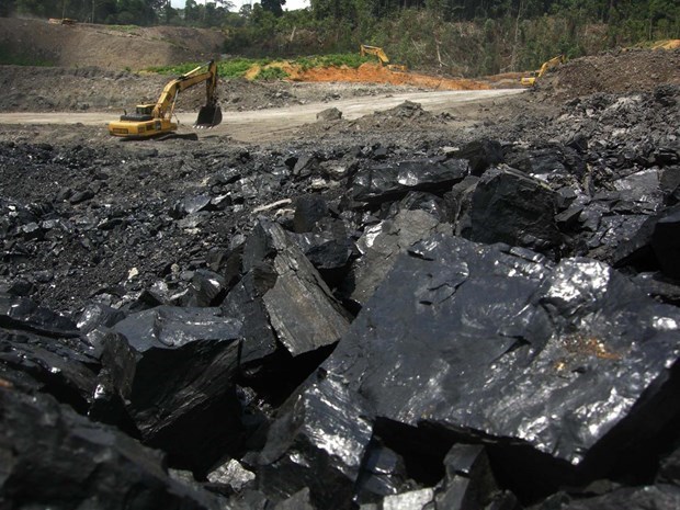 Indonesia forecasts to use 166 million tonnes of coal in 2022 hinh anh 1
