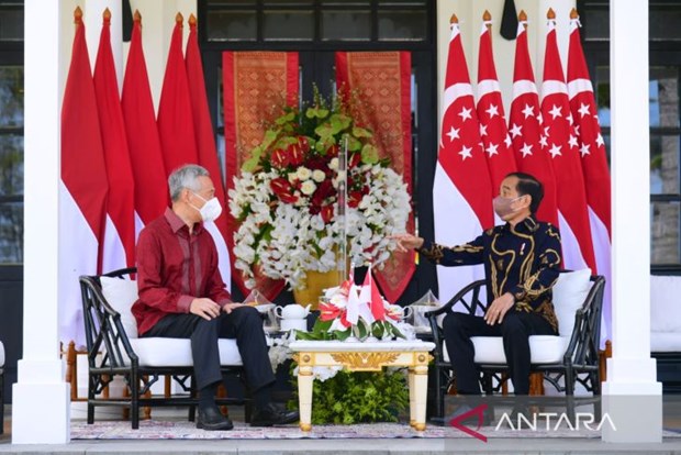 Singapore, Indonesia boost cooperation in post-pandemic recovery hinh anh 1