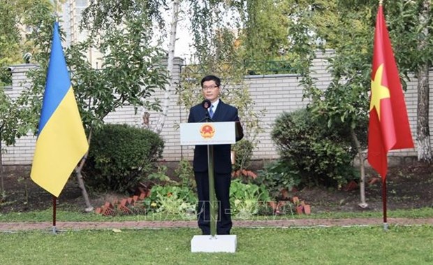 Embassy maintaining attention to Vietnamese in Ukraine: ambassador hinh anh 2