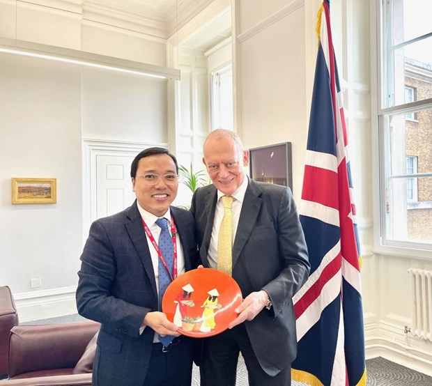 Vietnam, UK forge cooperation in various fields hinh anh 1