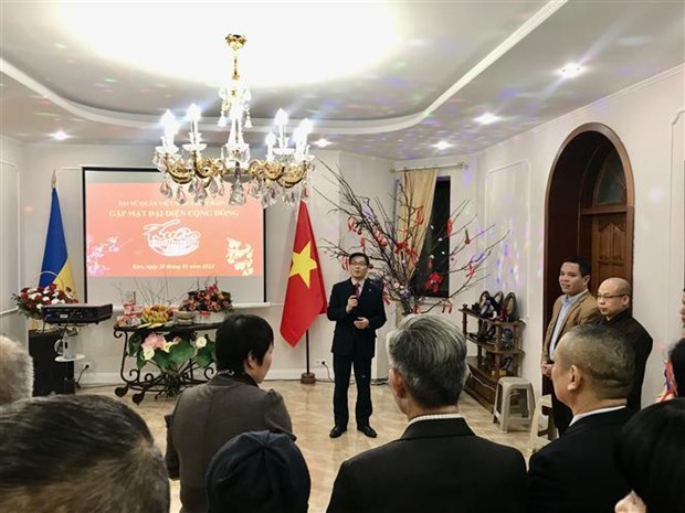Lunar new year get-togethers held for overseas Vietnamese hinh anh 1