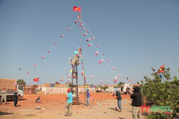 Vietnamese peacekeepers in South Sudan erect New Year tree hinh anh 1